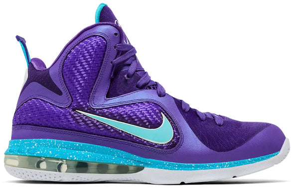 LeBron 9 'Summit Lake Hornets'