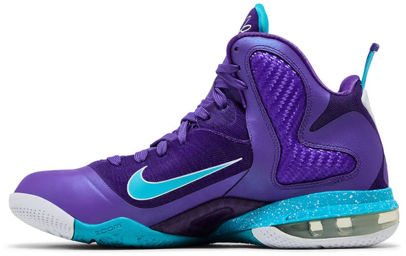 LeBron 9 'Summit Lake Hornets'