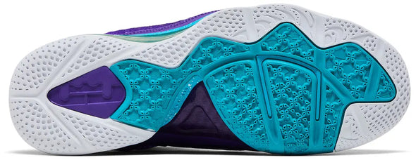 LeBron 9 'Summit Lake Hornets'