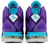 LeBron 9 'Summit Lake Hornets'