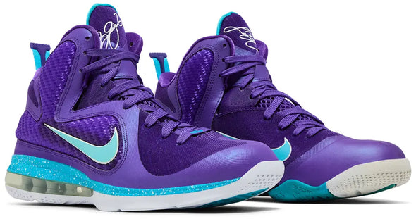 LeBron 9 'Summit Lake Hornets'