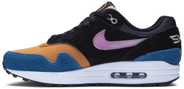 De'Aaron Fox x Nike Air Max 1 'Swipa'