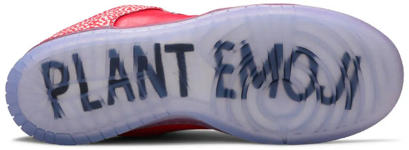 Stingwater x Dunk Low SB 'Magic Mushroom'